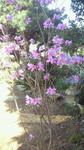 image/2011-04-21T14:18:49-1.jpg