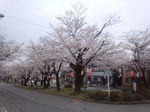 image/2013-04-03T11:36:06-1.jpg